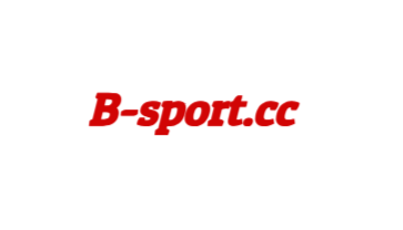 b体育-bsports
